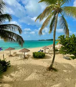 Beaches Tour